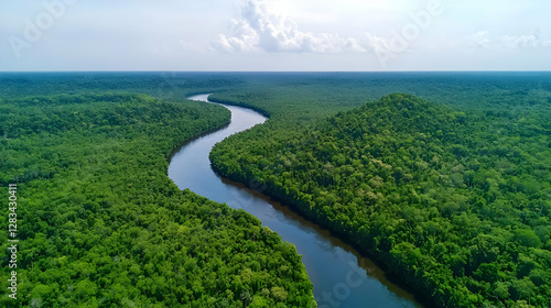 Wallpaper Mural Aerial View Of Lush Green Forest And Winding River Under Blue Sky Torontodigital.ca