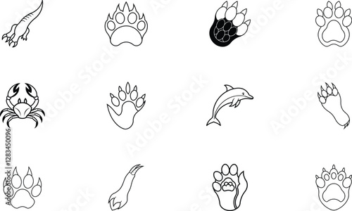 Animal Tracks Paws, Claws, Fins, and Wildlife Prints