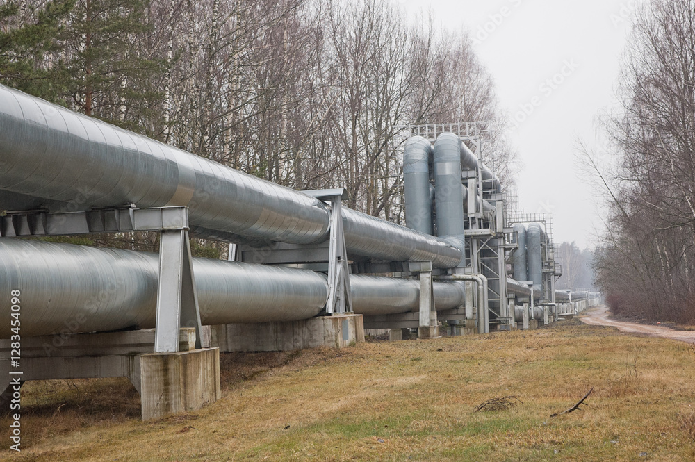 pipeline line against grey sky and forest pipeline line against grey sky and forest