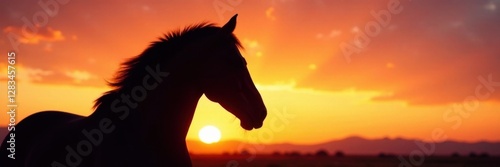 Elegant horse head profile in silhouette against sunset, animal profiles, wild, silhouette