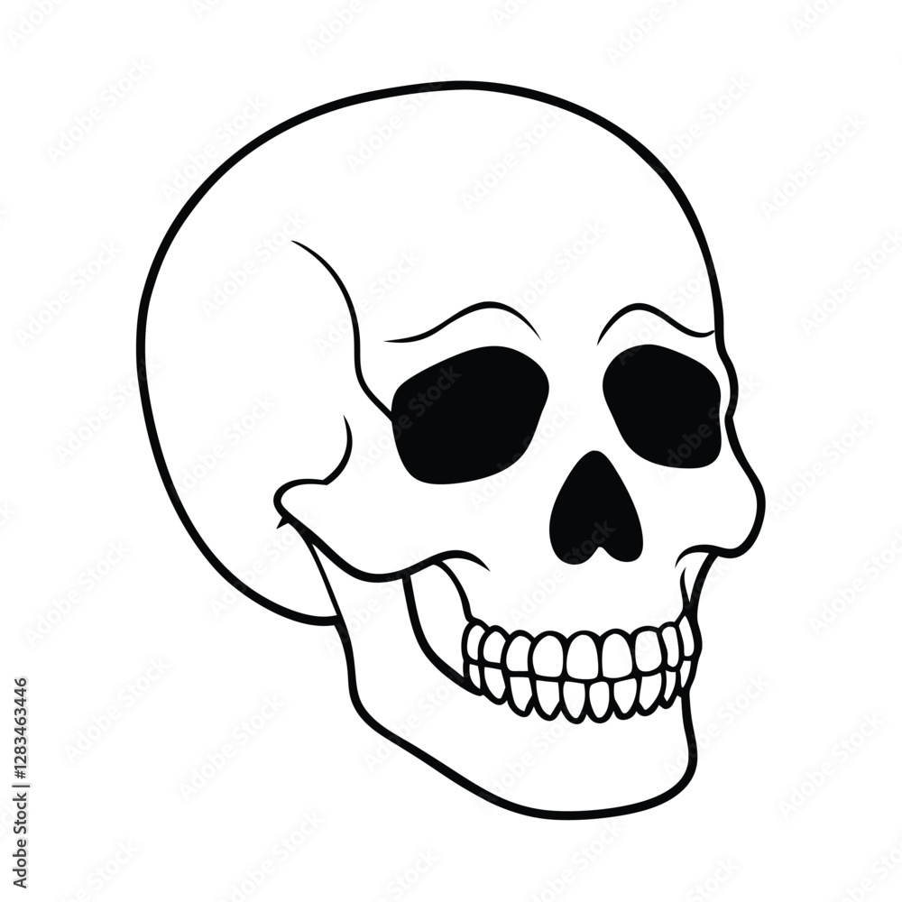 Obraz premium human skull vector illustration