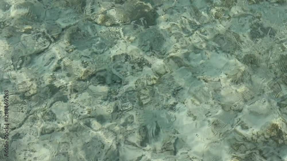 Crystal-clear water gently flowing over shallow coral reef in marsa alam Crystal-clear water gently flowing over shallow coral reef in marsa alam