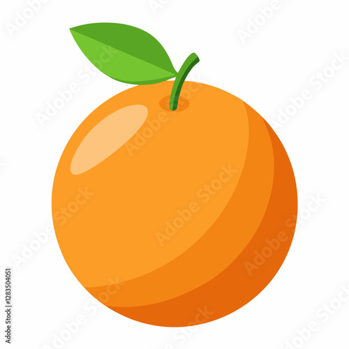 orange fruit vector illustration