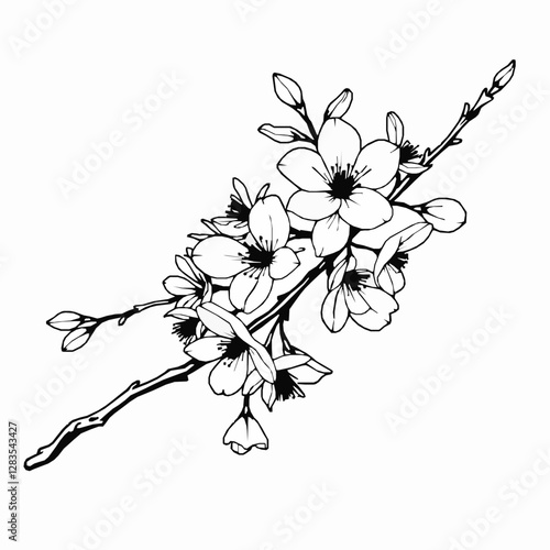 Cherry Blossom Outline Icon, Sakura Flower Vector, Editable Stroke, Black Minimalist Illustrations,