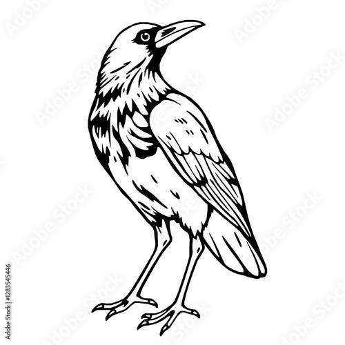 Crow Outline Icon, Black Stroke, Editable Vector, Mysterious Bird Illustration