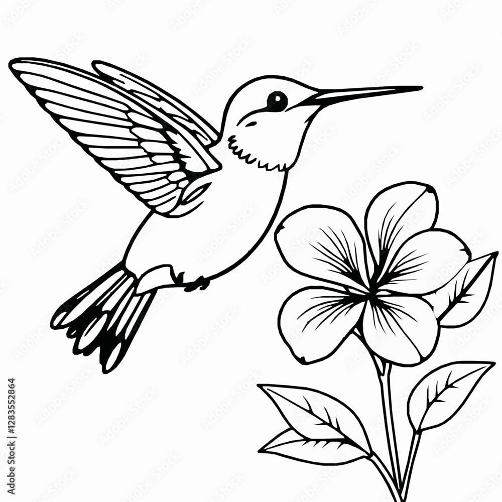 Fototapeta premium Hummingbird Outline Icon, Black Stroke, Editable Vector, Delicate Bird Illustration,