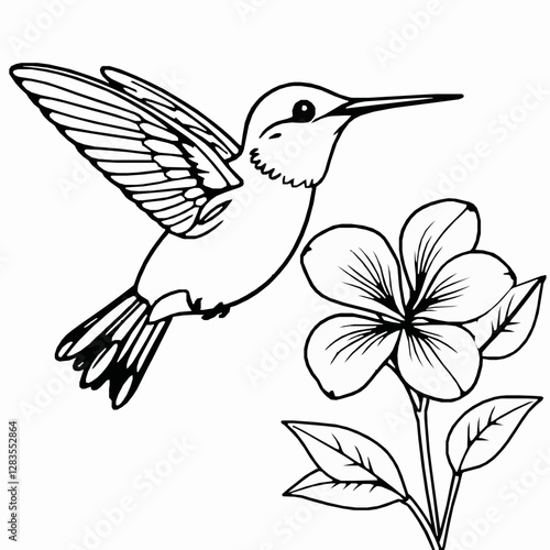 Hummingbird Outline Icon, Black Stroke, Editable Vector, Delicate Bird Illustration,