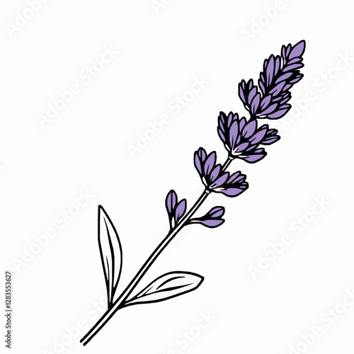 Lavender Outline Icon, Aromatic Flower Vector, Editable Stroke, Black Minimalist Illustration,