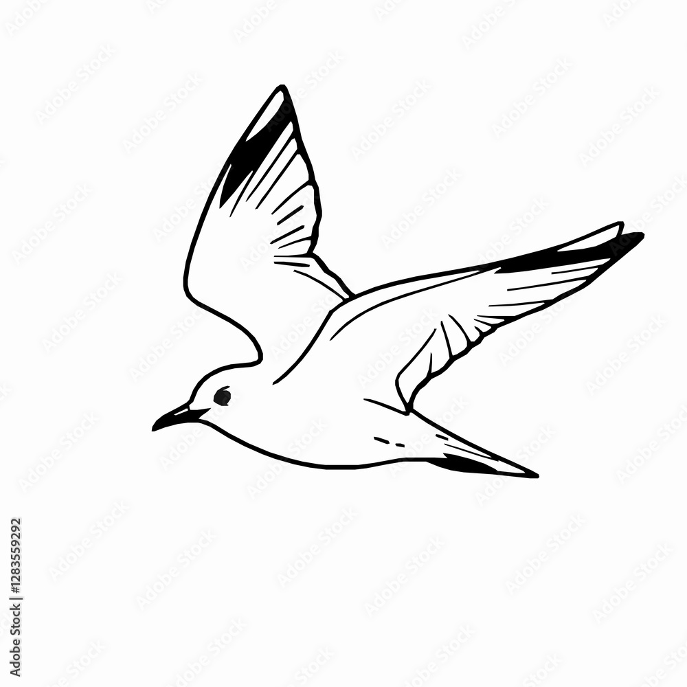 Obraz premium Seagull Outline Icon, Black Stroke, Editable Vector, Coastal Bird Illustration
