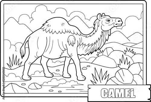 Wild african camel, coloring page for kids