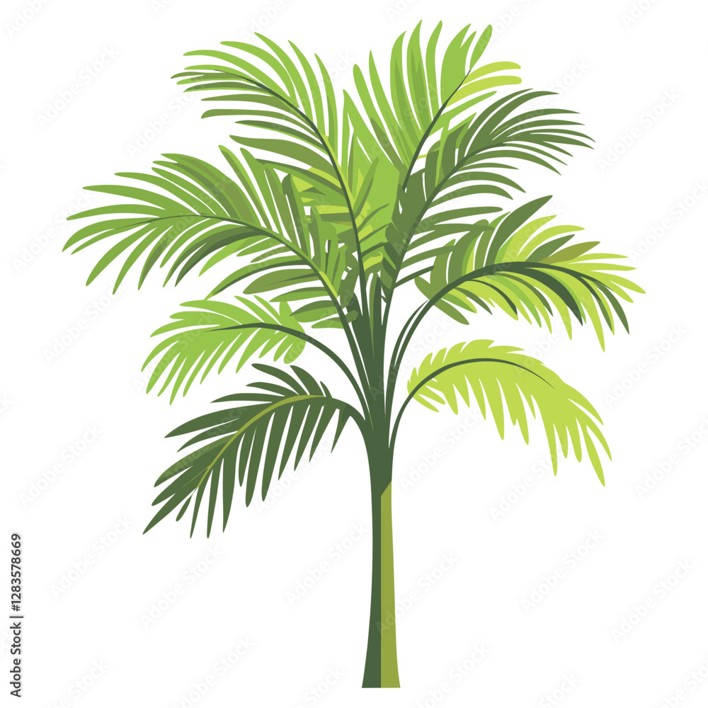 Fototapeta premium Tropical green tree illustration leaves plant vector