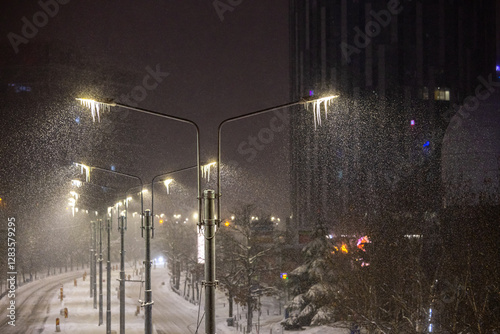 Obraz na płótnie Winter in Bucharest. A row of streetlights covered in icicles during a snowy night in Bucharest, casting a mystical and serene winter glow. w salonie