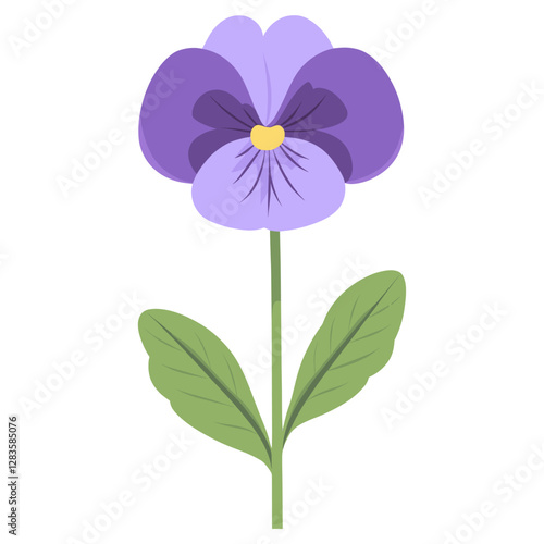 Pansy flower pansy illustration vector
