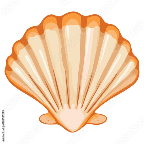 Scallop illustration seashell art vector