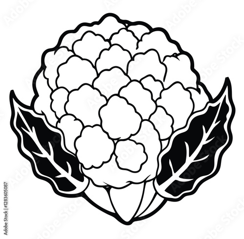 Cauliflower vegetable outline black and white cute drawing. The vegetable is the main focus of the image. The vegetable adds a touch of nature and freshness to the scene. The image is simple and clear