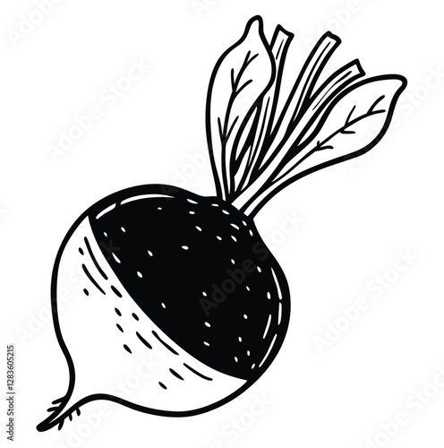 Beetroot vegetable outline black and white cute drawing. The vegetable is the main focus of the image. The vegetable adds a touch of nature and freshness to the scene. The image is simple and clear.