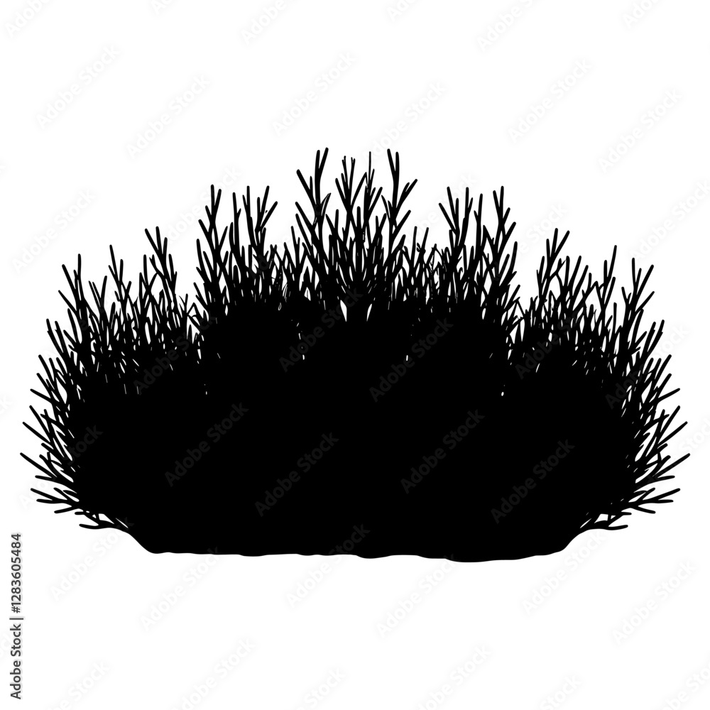Grass bush illustration silhouette vector vector Grass bush illustration silhouette vector vector