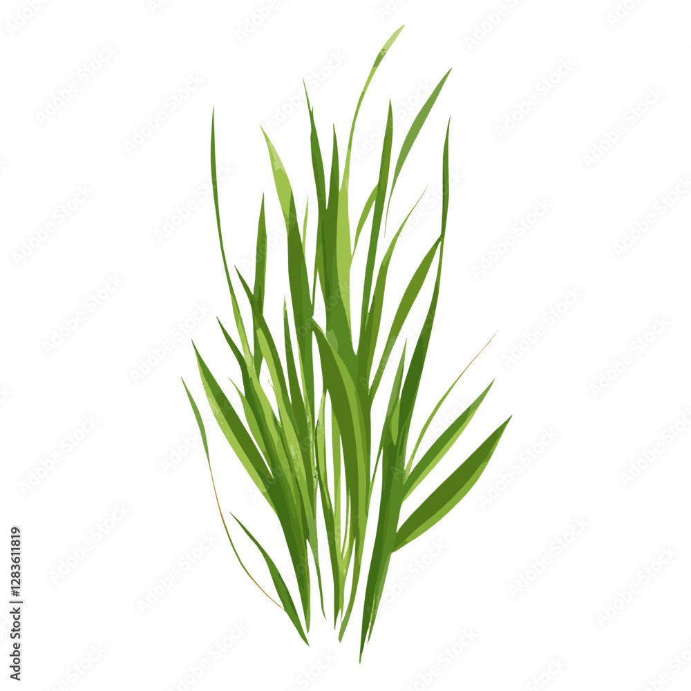 Flat vector of wild grass illustration plant green vector Flat vector of wild grass illustration plant green vector