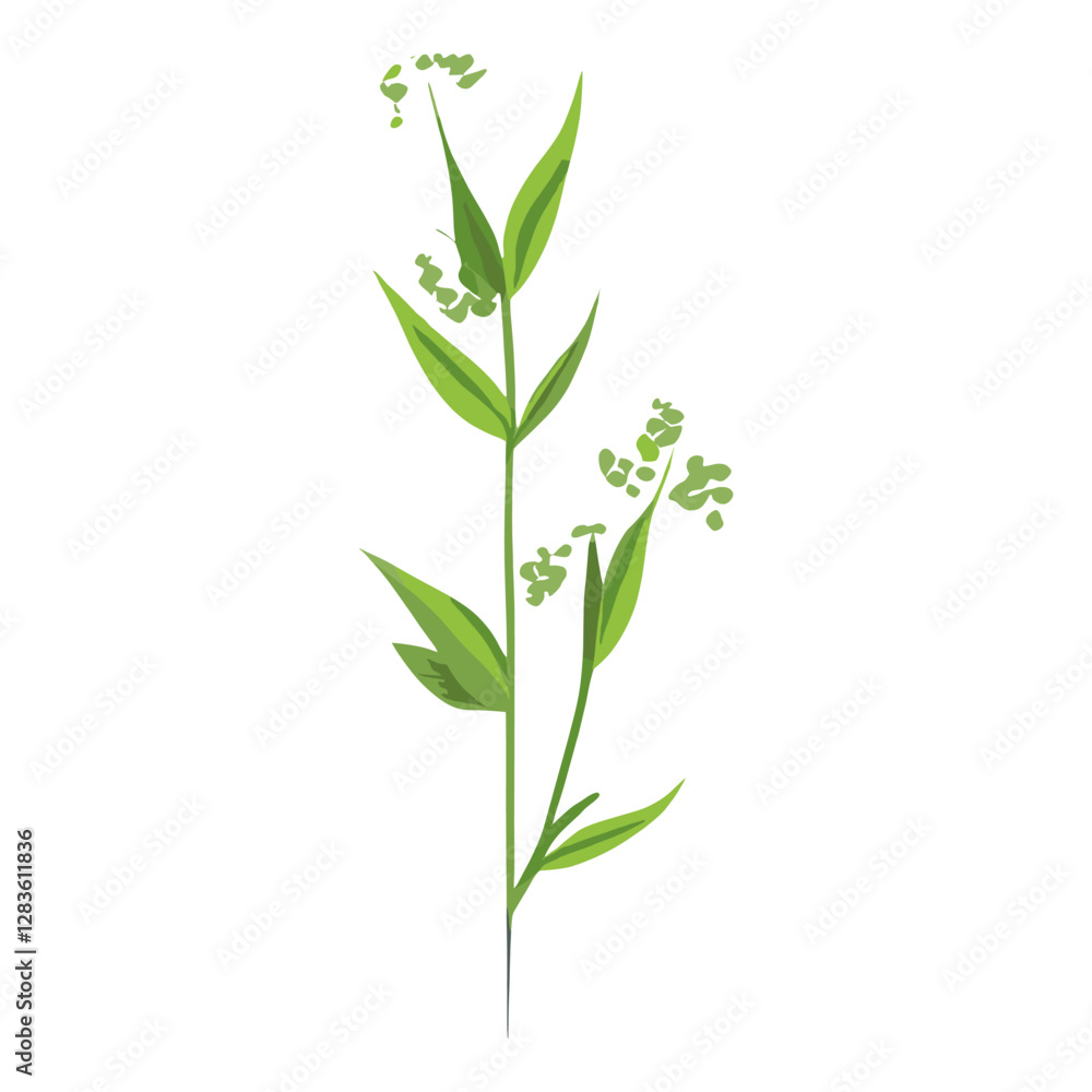 Obraz premium Flat vector of wild grass leaf illustration plant vector