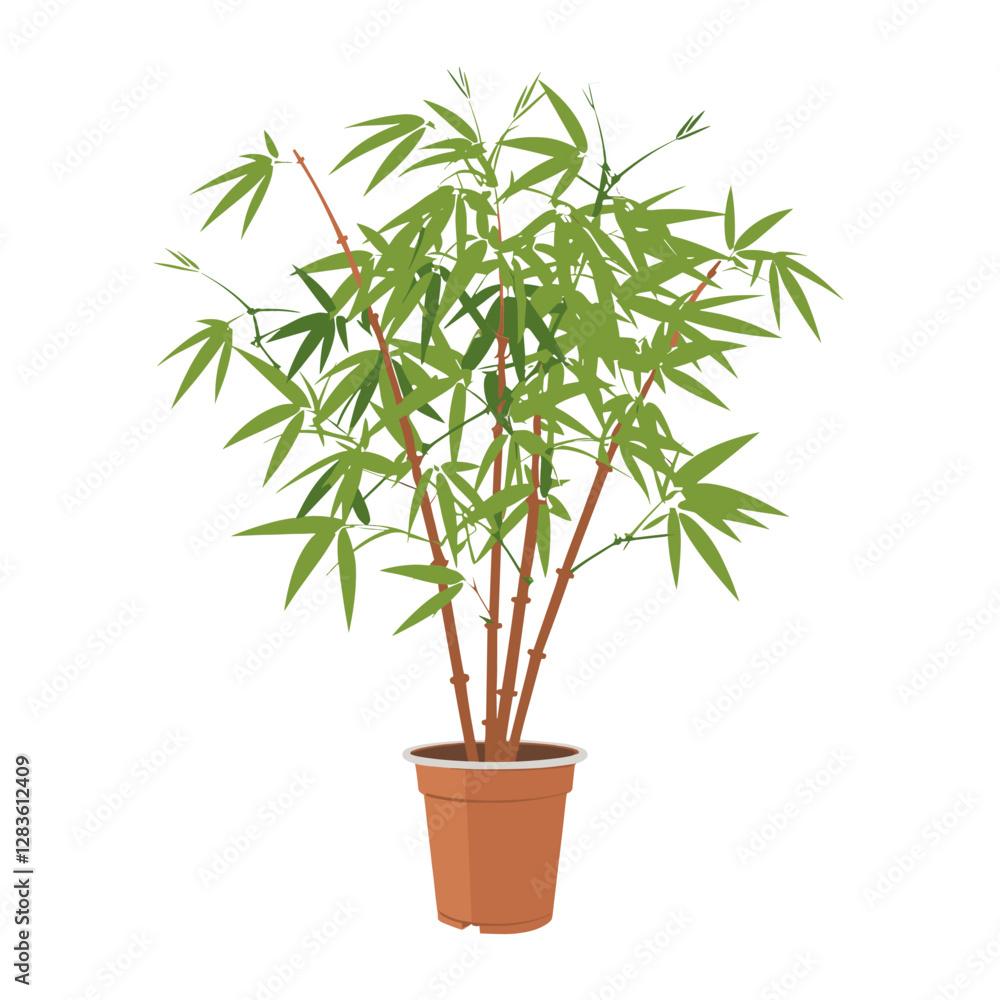Fototapeta premium Potted bamboo plant illustration potted leaf vector
