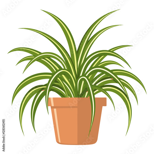 Potted plant spider plant illustration potted potted plant vector