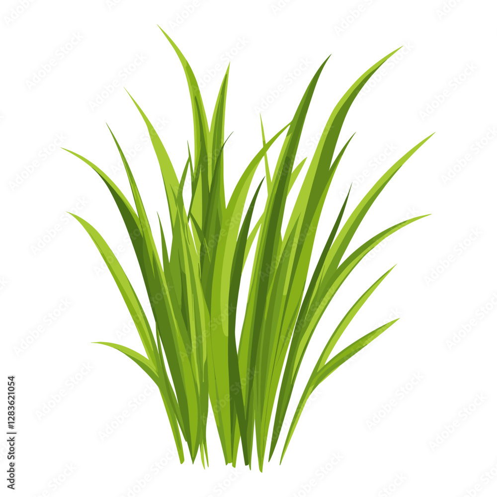Green grass illustration plant art vector Green grass illustration plant art vector