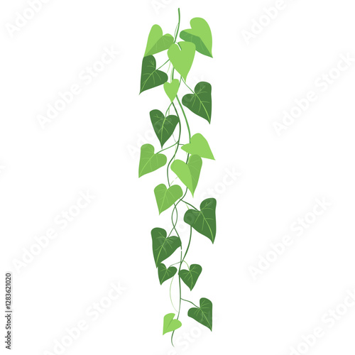 Long ivy vine illustration plant leaf vector