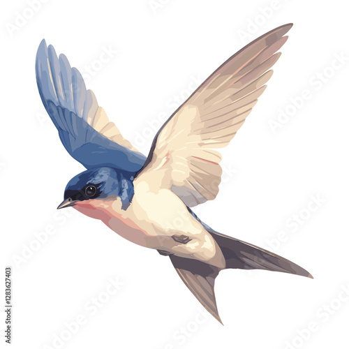 Swallow swallow illustration bird vector