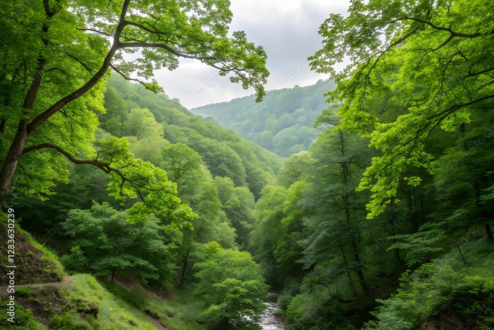 Lush Green Forest Valley with a Gentle Stream Lush Green Forest Valley with a Gentle Stream