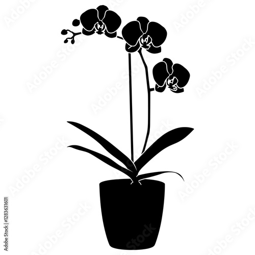 Potted plant with orchid silhouette flower potted vector