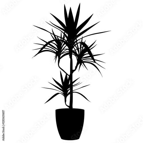 Potted plant with dracaena silhouette potted black vector