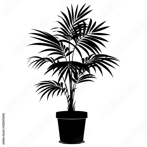 Potted plant with Areca palm silhouette potted black vector