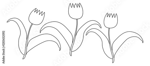 Black and white outline illustration of three tulip flowers with leaves, perfect for coloring and educational activities.