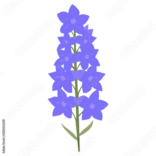 Delphinium flower illustration art botanical  vector
