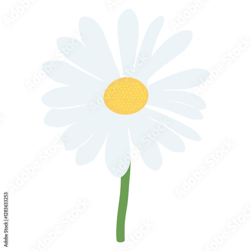 Oxeye Daisy flower daisy illustration simple  vector