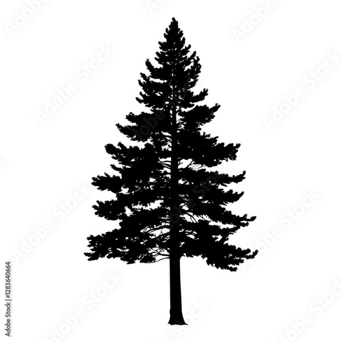 Sugar pine tree silhouette illustration black vector