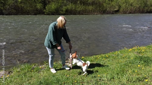 Woman having fun with their Jack Russell Terrier dog. Woman playing with pet. Girl playing with dog on river bank. Adult woman having fun with Jack Russell Terrier dog
