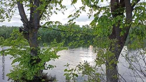 Fast river flowing during spring flood. Seasonal flood of river. Beautiful scenery with stream of fast water. River flood in spring. Flood on river in spring. Natural disaster.