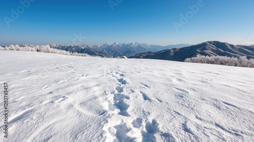 Wallpaper Mural Snowy mountain path, winter landscape, scenic view, travel photography Torontodigital.ca