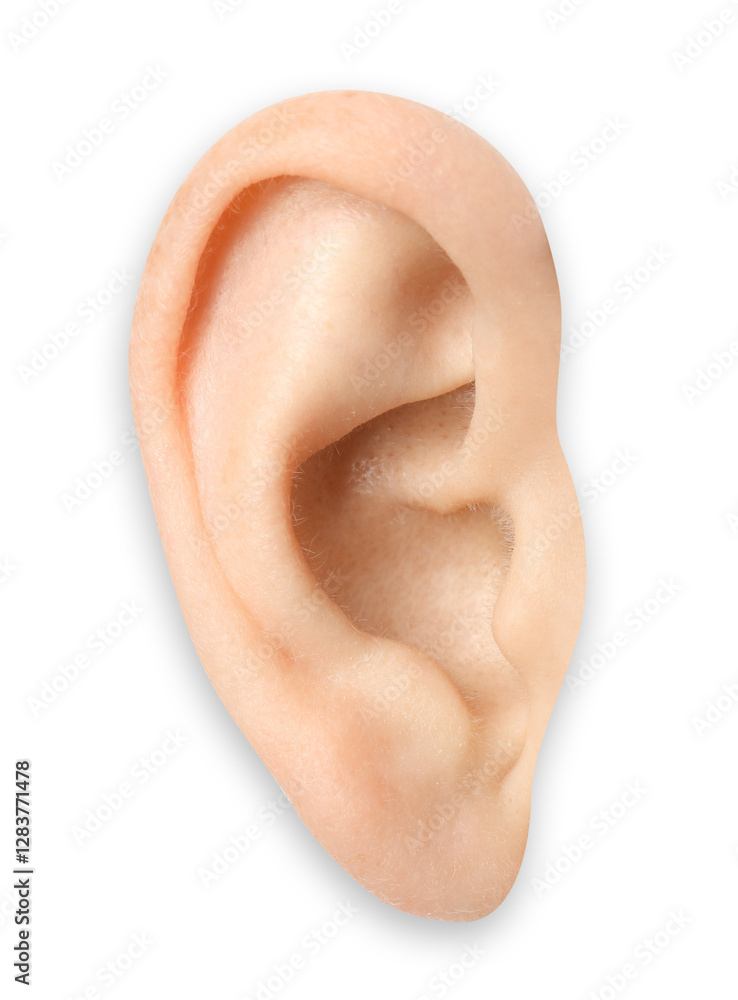 Naklejka premium Human ear isolated on white, closeup view