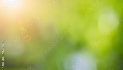 soft focus green and yellow sunlight bokeh background with natural blurred foliage, ideal for eco friendly designs and wellness themes