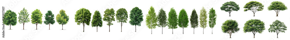 Obraz premium Diverse Collection of Different Tree Varieties in a Lush Green Natural Landscape Showcasing the Beauty and Diversity of the Organic Environment