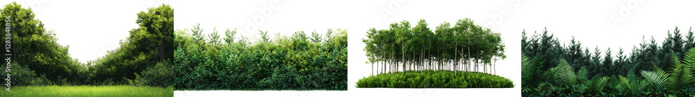 Lush green forest with towering pine trees and other dense foliage in a scenic woodland landscape Peaceful and serene natural environment with a tranquil untouched atmosphere Lush green forest with towering pine trees and other dense foliage in a scenic woodland landscape Peaceful and serene natural environment with a tranquil untouched atmosphere