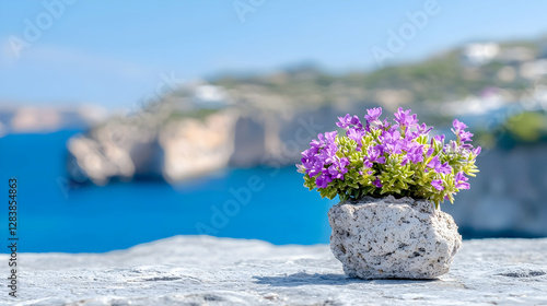 Wallpaper Mural Coastal Purple Flowers Potted Rock Ocean View Torontodigital.ca