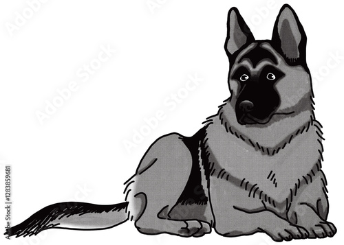 シェパード　german-shepherd-dog　白黒　背景透過　犬のイラスト