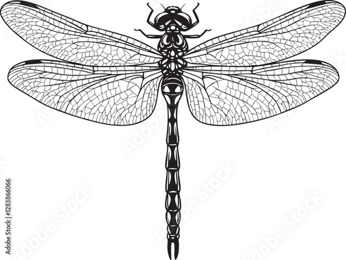  Vector Illustration of a Dragonfly Outline - Detailed Line Art