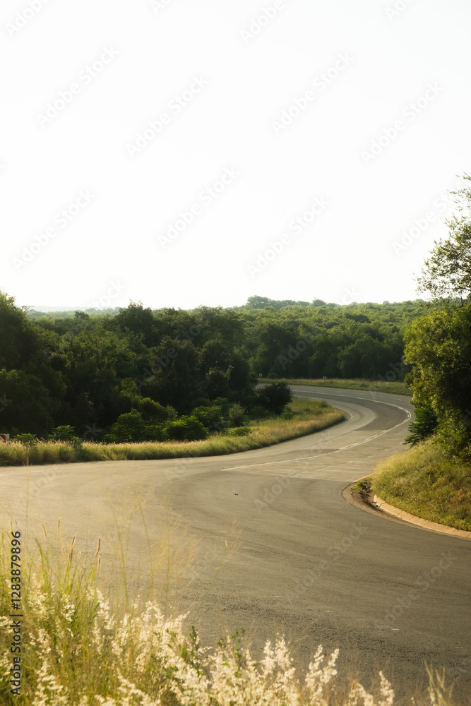 Fototapeta premium windy road in the mountain