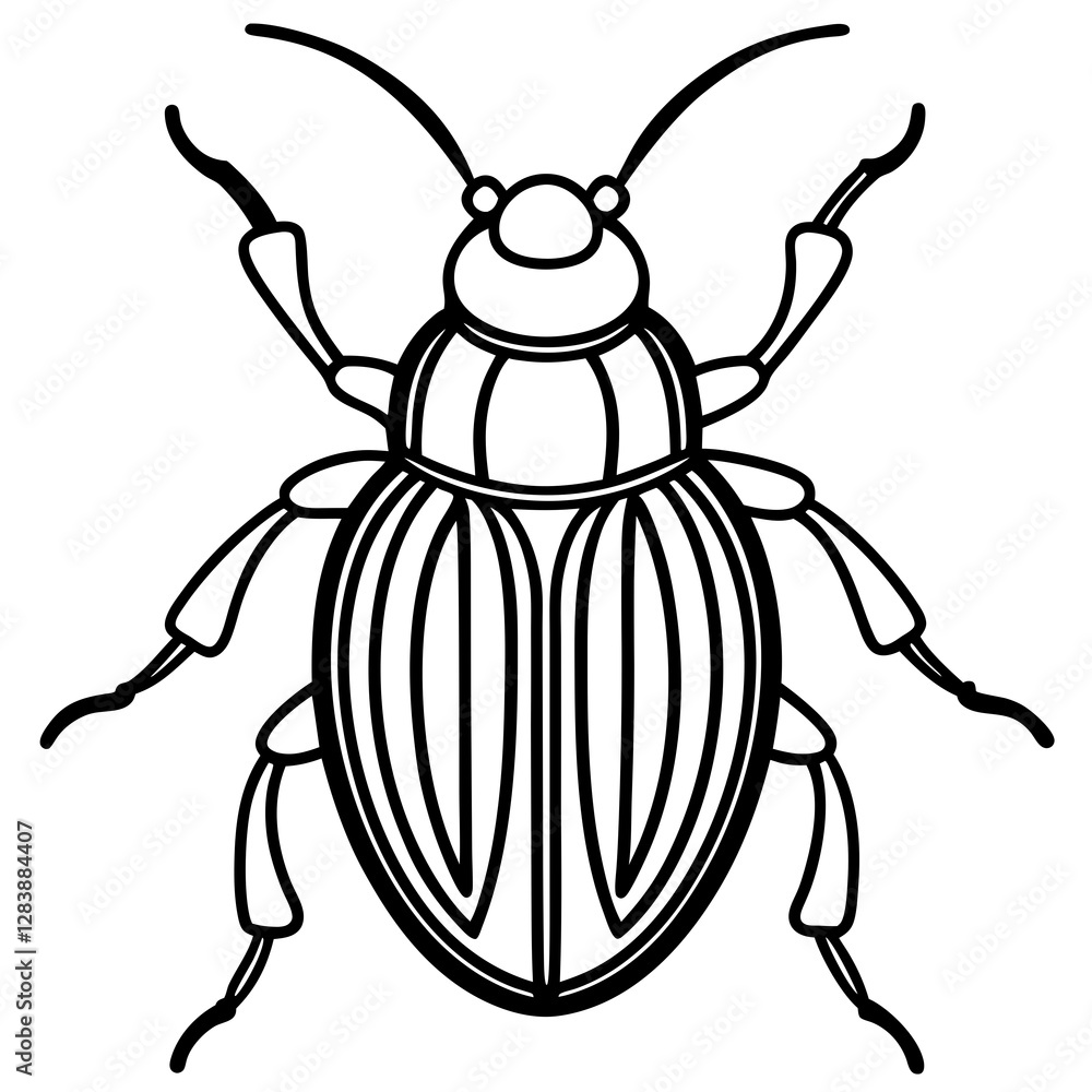 Insect Line Art Vector Insect Line Art Vector