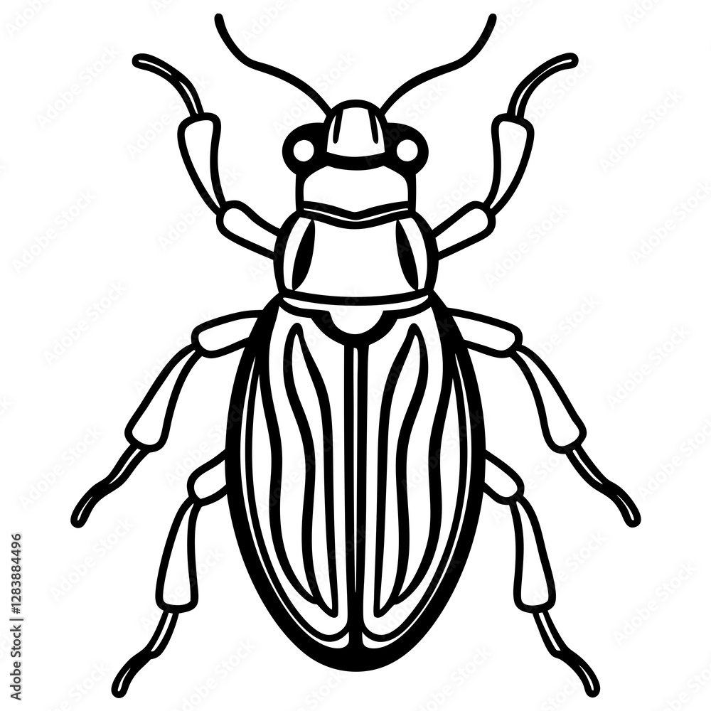 Insect Line Art Vector Insect Line Art Vector