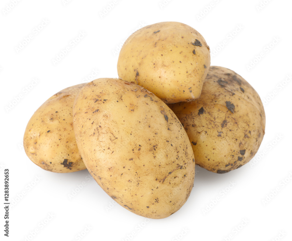 Fresh raw potatoes isolated on white. Vegetable root Fresh raw potatoes isolated on white. Vegetable root